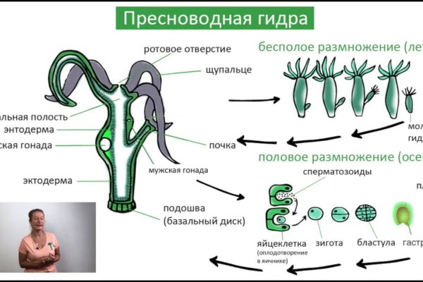 Ссылки зеркала на kraken kraken dark link