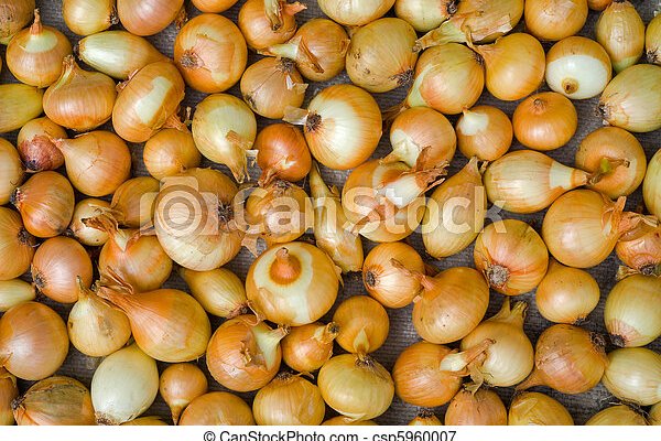 Кракен ссылка onion
