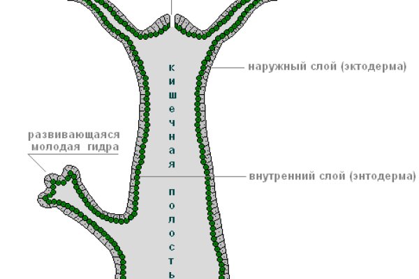 Кракен маркетплейс как зайти