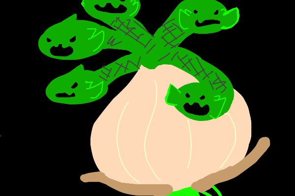 Kraken site