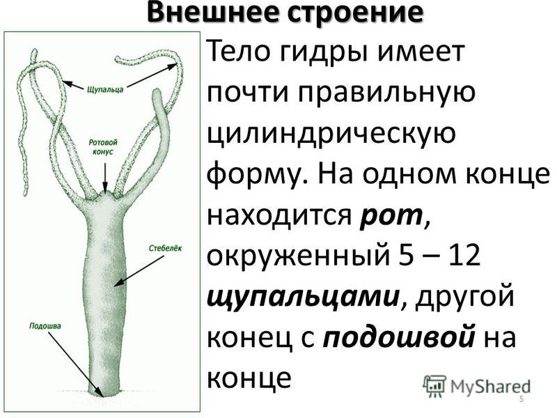 Почему не получается зайти на кракен